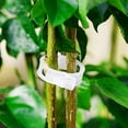 thumbnail image 2 of 100pcs Plant Support Clips Useful Tomato vegetable Garden Trellis Twine Greenhouse, 2 of 6