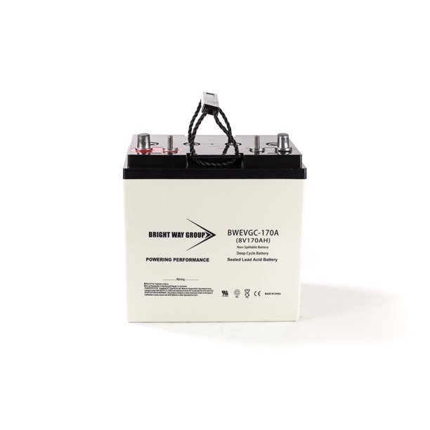 Bright Way Group EVGC8 8V 170AH Deep Cycle Golf Cart Battery