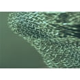 thumbnail image 1 of Ahgly Company Machine Washable Indoor Rectangle Transitional Medium Forest Green Area Rugs, 7' x 10', 1 of 7