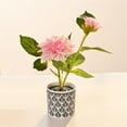thumbnail image 2 of Potted Plant*1 - Two Small Bonsai Living Room Decoration Desk Desk Home Simulation Flower Decoration, 2 of 4