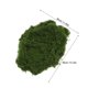 thumbnail image 2 of NUOLUX 3Ud Musgo Artificial Para Manualidades En Verde Oliva Para Interior Y Macetas, 2 of 7