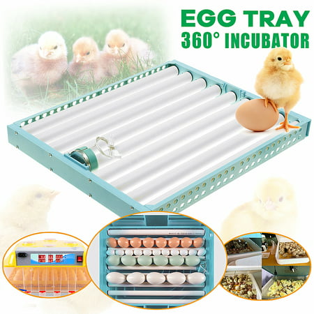 110V 360° Multifuntion Plastic Egg Tray Automatic Hatch Egg Tray Incubator Turner For Chicken Duck Bird Quail (Best Temperature To Hatch Chicken Eggs)