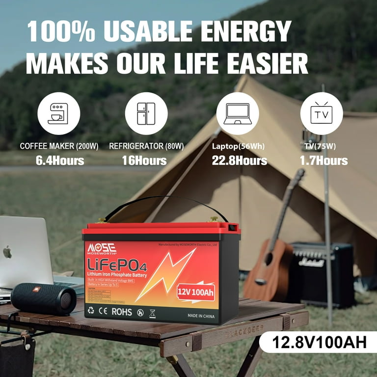 MOSEWORTH 2 x 12V 100Ah LiFePO4 Lithium Battery, 100A BMS, 15000