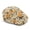 Pumpkin Floral Print, variant on FUIALDOLG Halloween Skeleton Pumpkin Polyester Beret Hat with Adjustable, Lightweight Wrinkle Resistant Flat Cap for Driving Outdoor Travel