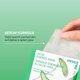 thumbnail image 3 of Mascarilla innisfree Green Tea Energy con sérum hidratante, 3 of 9