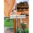 thumbnail image 2 of Stainless Steel Hanging Rope Kit, 50M Wire Cable, Climbing Plant Training Kit, Wire Cable for Stair Railings - 5, AAFGVC, 2 of 5