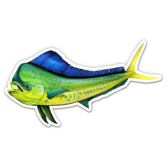 Mahi Mahi Fish - 3" Vinyl Sticker - For Car Laptop Water Bottle Phone - Waterproof Decal