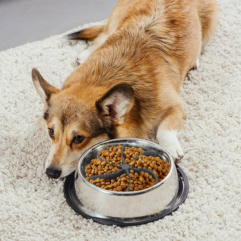  Slow Feeder Dog Bowls for Large Dogs Anti-Chocking