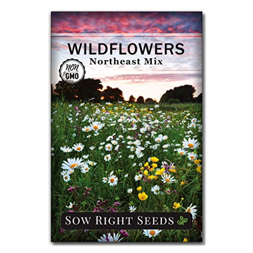 Sow Right Seeds Wildflowers Seeds to Plant in Northeast Full