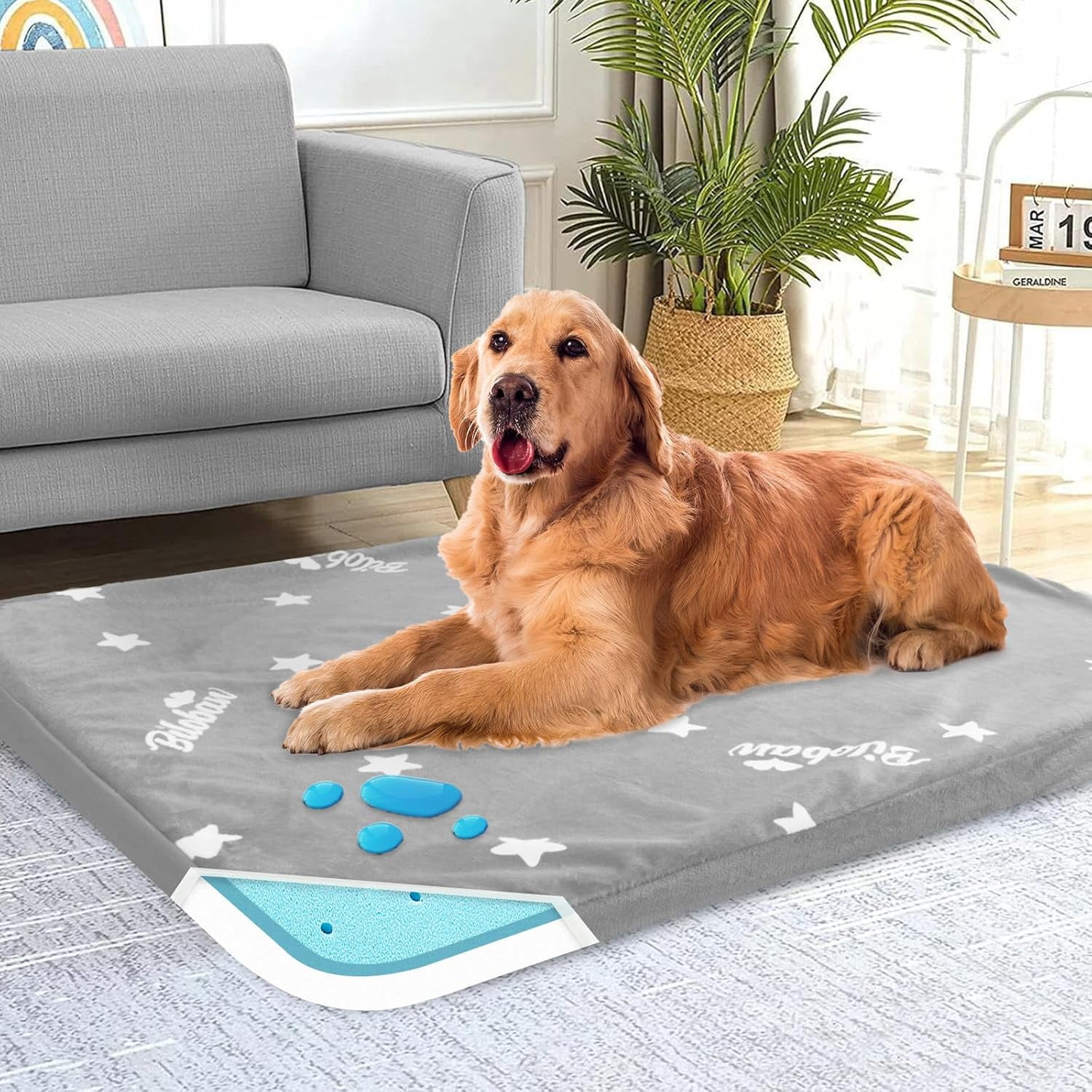 General Waterproof Dog Beds for (Large) Dogs, Washable Mat Pad, Memory Foam Dog Beds & Furniture for Small/Medium Large/XL/XXL Pet with Removable Cover (Light Grey)
