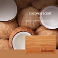 thumbnail image 5 of Car air freshener, natural wooden air freshener durable, with metal clip car air freshener diffuser, car deodorant, magnetic car accessories coconut, 5 of 5
