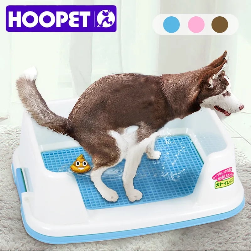 Potty box for puppies discount