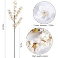 thumbnail image 5 of Artificial Cherry Blossom Branches Faux Cherry Flowers 39 Inch Peach Branches Silk Tall Stems for Home Wedding Table Vase Decor (3 Pcs, Ivory), 5 of 5