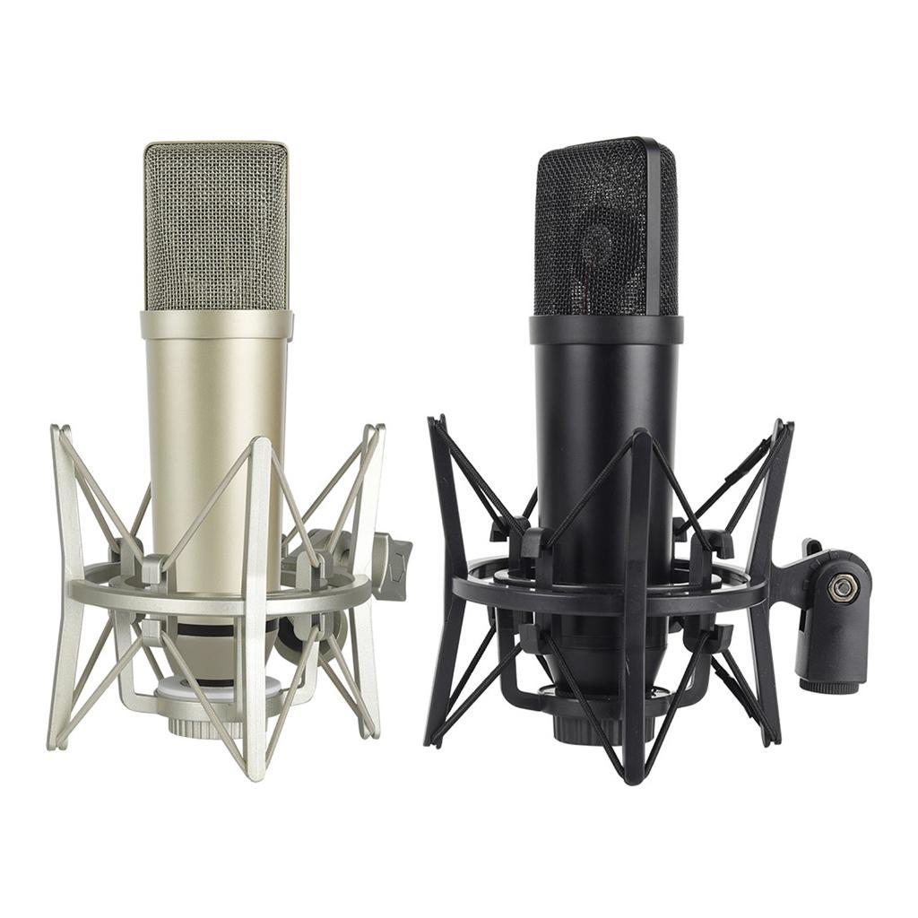 High Sensitivity Condenser Microphones Noise Reductions XLR Interfaces For Home Studio