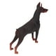 thumbnail image 5 of Figura de perro, material plástico Juguetes Realistas en miniatura en miniatura estatua de perros educativa para niños, 5 of 7