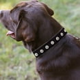 thumbnail image 4 of Apuakthei Collar de cuero grueso y ancho con remaches para perros. Adecuado para cuellos de 14" a 17", variedad mediana., 4 of 5