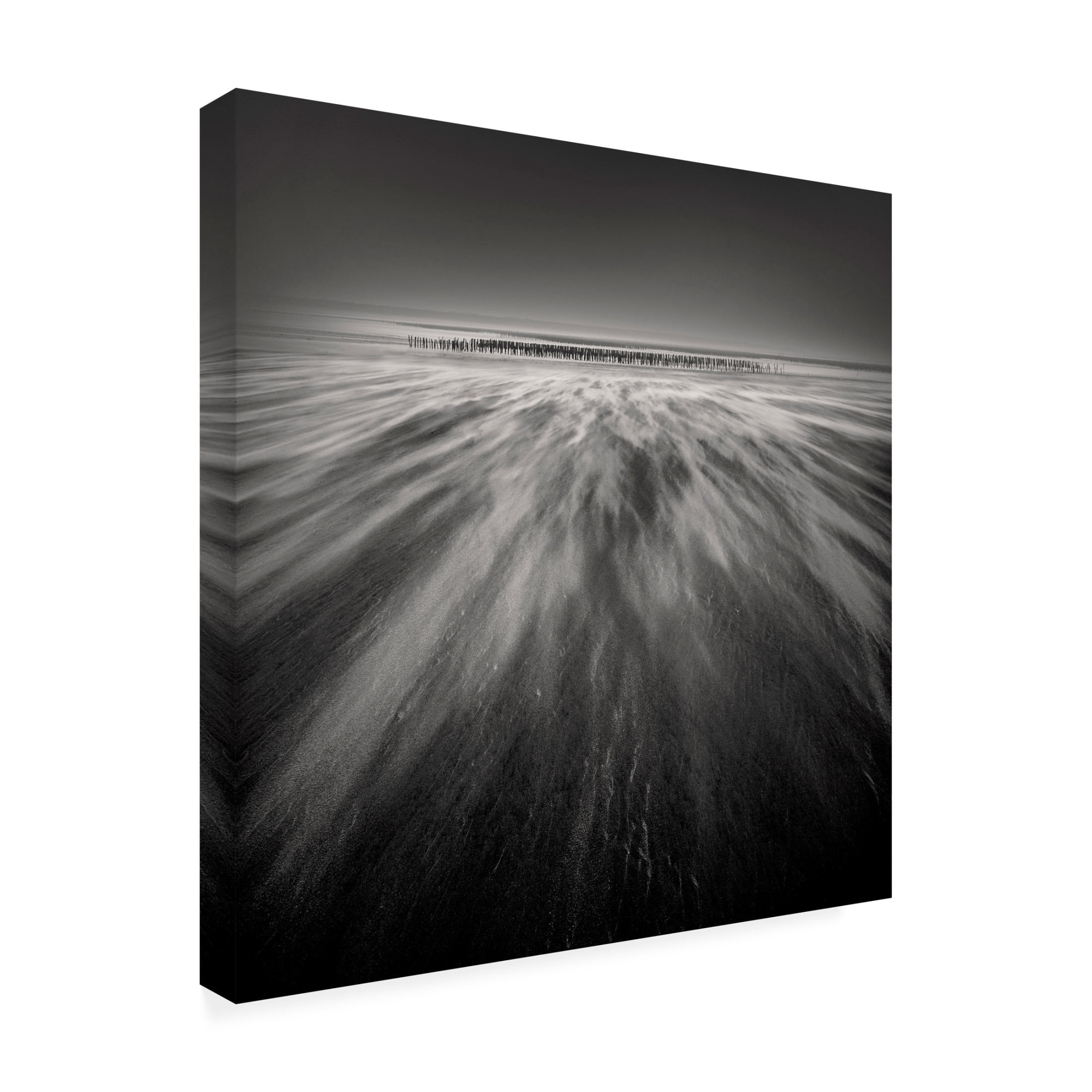 Trademark Fine Art Jean Luc BILLET Sandwind Vent de Sable Canvas Wall Art