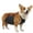 Gray, variant on ZDM Waterproof Pet Clothes Dog Rain Jacket Belly Cover Corgi Raincoat Dog Bellyband Breathable Anti-Dirty Puppy Outfits Doggy Raincoat Dog Belly Protector