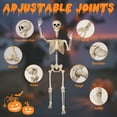 thumbnail image 4 of 5.4 ft Halloween skeleton decoration, with movable joints, flexible skeleton for poses, scary skeleton suitable for indoor and outdoor Halloween decorations, haunted houses, courtyards, cemeteries., 4 of 8