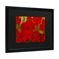 thumbnail image 2 of Trademark Fine Art 'Poppies' Canvas Art by Anonymous, 2 of 4