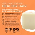 thumbnail image 2 of Viori Citrus Yao Conditioner Bar Made with Rice Water - Handcrafted All Natural Organic Conditioner, 2 of 9