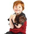 thumbnail image 1 of Billy The Bison - 10 Inch Buffalo Stuffed Animal Plush - by Tiger Tale Toys, 1 of 5