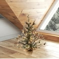 thumbnail image 4 of Vickerman 24" Dakota Pine Artificial Christmas Tree, Warm White Dura-lit LED Lights, 4 of 4