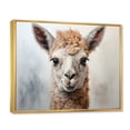thumbnail image 2 of Designart "Alpaca Portrait Beige II" Animals Floater Framed Wall Art Print, 2 of 7