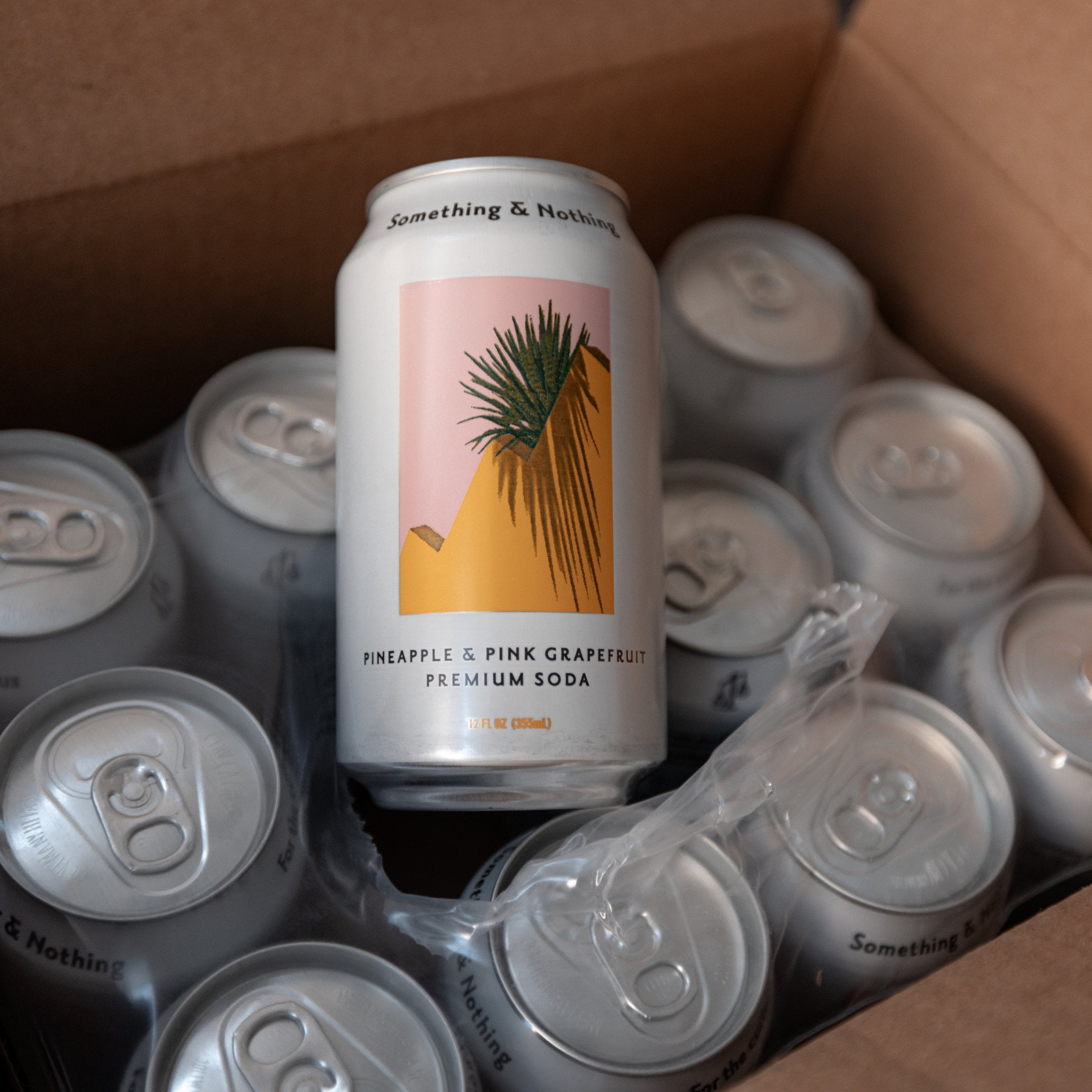 Something & Nothing Lightly Carbonated Pineapple & Pink Grapefruit Premium Soda Case of 12 x 12 Fl Oz