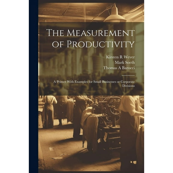 The Measurement of Productivity : A Primer With Examples for Small Businesses or Corporate Divisions (Paperback)