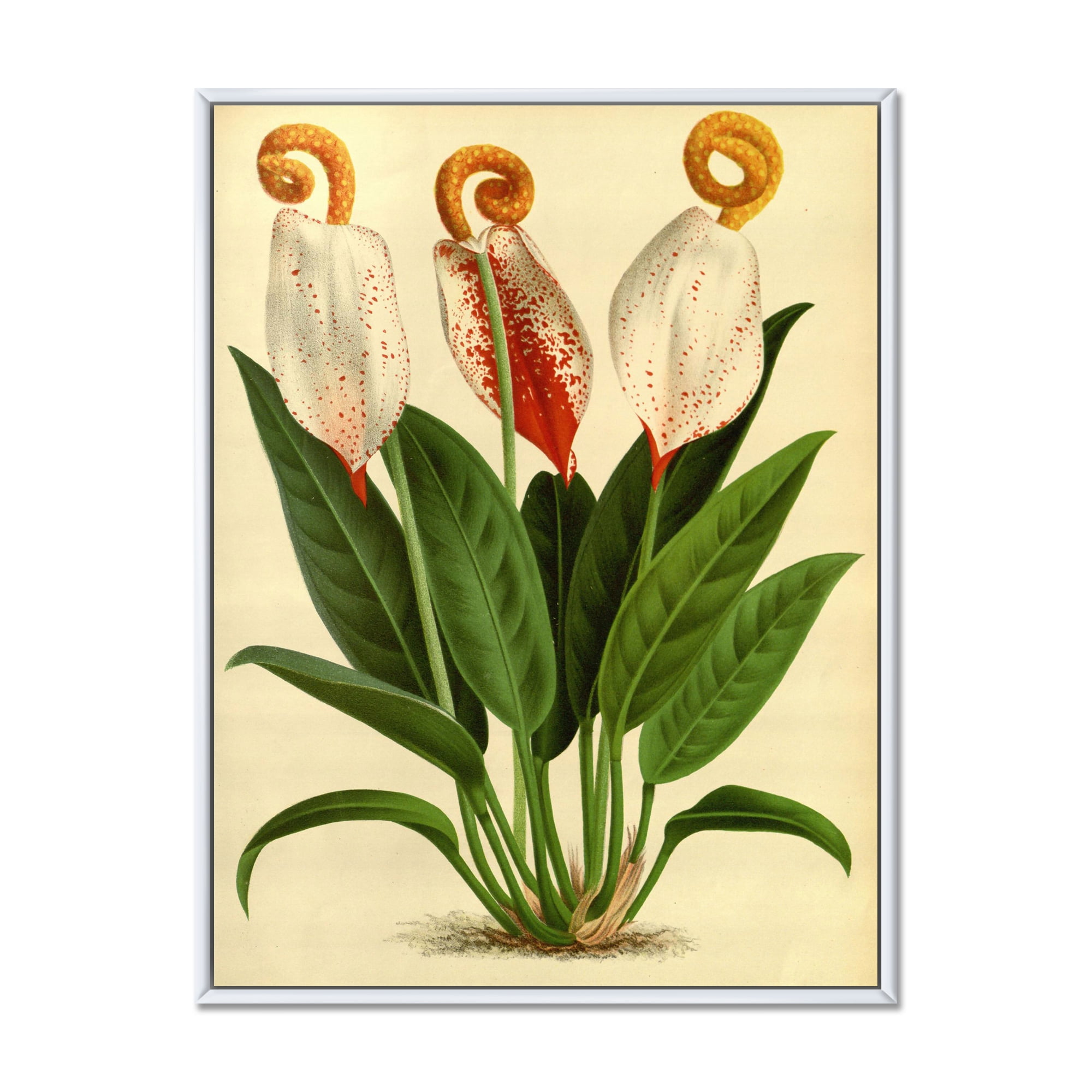 Designart Retro Wildflowers Farmhouse Framed Canvas Wall Art Print