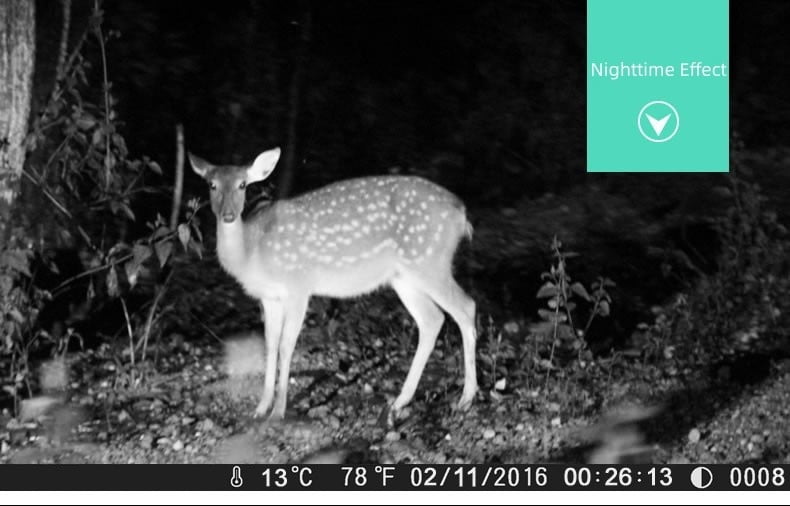 Trail Camera with Infrared Night Vision, Motion Activated Game Camera with 4K Video, Fast Trigger & Wide Angle Lens, Wildlife Camera with IP66 Waterproof for Outdoor Use