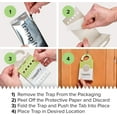 thumbnail image 3 of Ultimate Adhesive Moth Traps for Clothes - Monitoring Pantry Moth Traps for Home, Kitchen, Closet, Cabinet, Storage Rooms, Cupboard |Easy Setup (8 Pack), 3 of 3