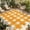 Orange, variant on Yellow Plaid Outdoor Rug for Patio/Deck/Porch, Non-Slip Large Area Rug 4 x 6 Ft, Watercolor Grid Checker Gingham Farmhouse Indoor Outdoor Rugs Washable Area Rugs, Reversible Camping Rug Carpet Runner