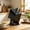 Black-Free Size/BK, variant on Stainless Steel Knife Block Countertop Knife Holder Chopstick Organizer Rotating Kitchen Utensil Rack for Home Chef Apartment Counter Space Saving Knife Storage Tool Holder Home Decor Gift Choice