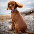 thumbnail image 3 of Dog Collar for Small Medium Dogs,  Adjustable Reflective Wide Heavy Duty Pet Collars with Safety Locking Buckle for Walking, 3 of 8