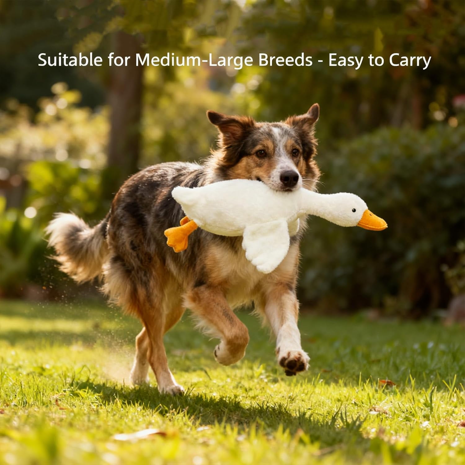 Large Plush White Duck Dog Toy, Goose Dog Toy, Large Plush White Goose, Big Realistic Stuffed Gooses Dog Toys, Interactive Dog Toys for Chewing, Playing & Training (2pcs 90cm/35.43in)
