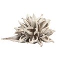 thumbnail image 1 of Vickerman H2STAX900 12-16 in. White Wash Star Pods - 2XL, 1 of 1
