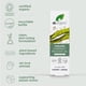 thumbnail image 4 of Aceite de recuperación Dr. Organic Ageless Overnight de 30 ml con algas marinas, 4 of 6