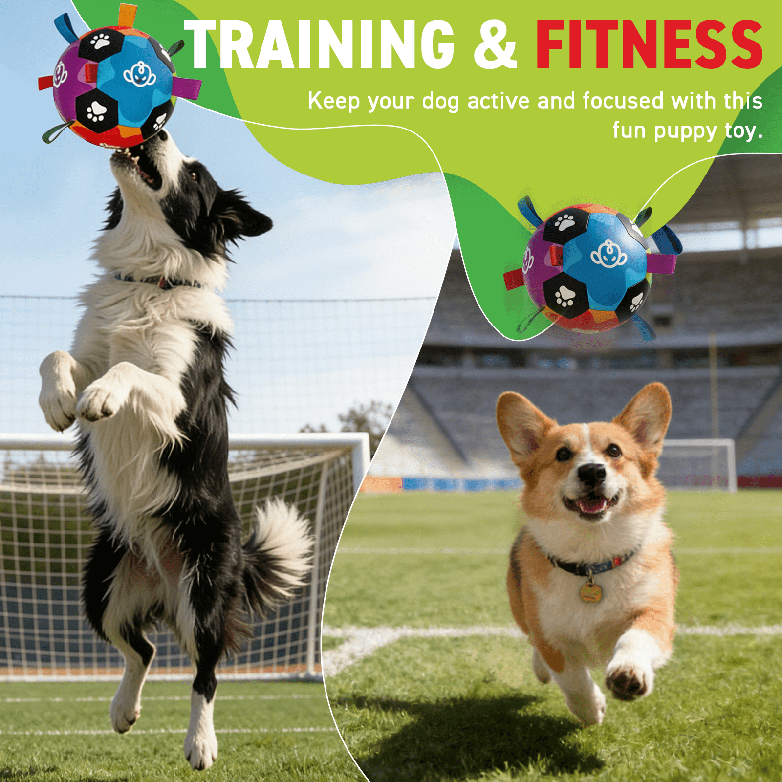 QDAN Dog Balls, Dog Soccer Ball Dog Toy, Puppy Toy for Small to Medium Dogs, Durable Water Play Ball with Straps (6 inch)