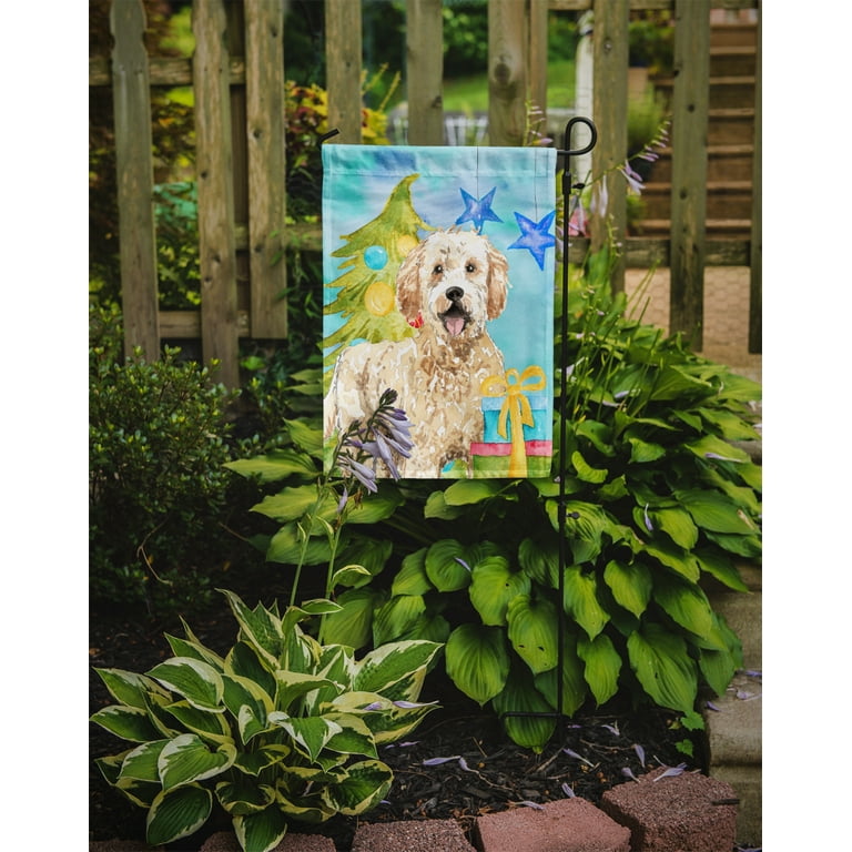 Goldendoodle newfoundland cheap mix
