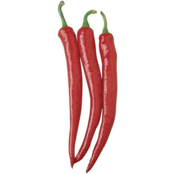Harris Seeds - Pepper Seeds - Cayenne Long Slim Unt Non-GMO Variety - 50 Seeds
