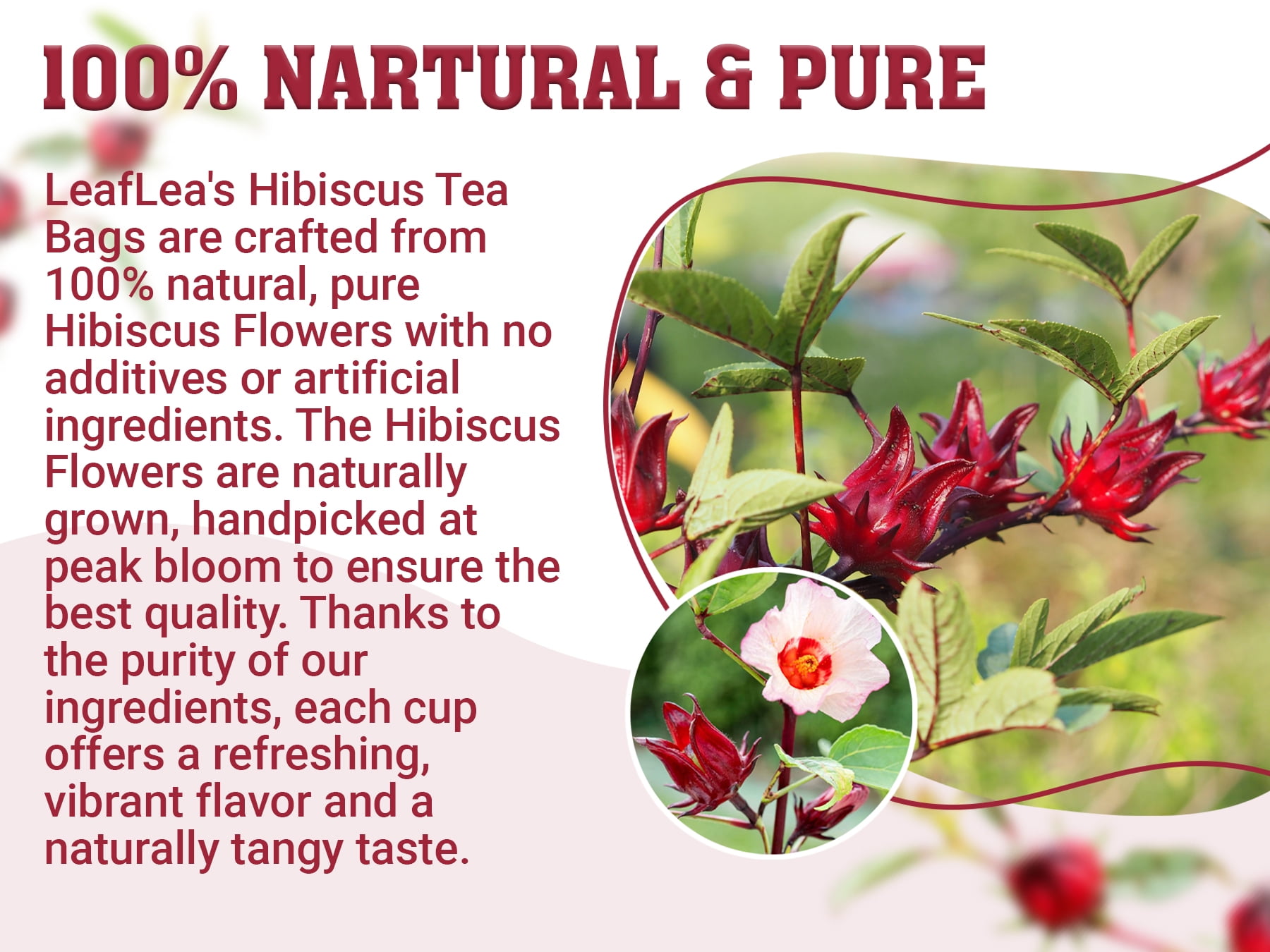 LeafLea 40 Premium Natural Hibiscus Tea Bags, 100% Pure from Hibiscus Flowers, Caffeine-Free Herbal Tea, Hibiscus Flower Tea Rich in Natural Goodness and Flavor, No Sugar, Gluten-Free, Vegan