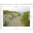 thumbnail image 5 of Art.com Path at Head of the Meadow Beach, Cape Cod National Seashore, Massachusetts, USA Photographic Print by Jerry & Marcy Monkman, White Frame Wall Art, 29" x 23", 5 of 5