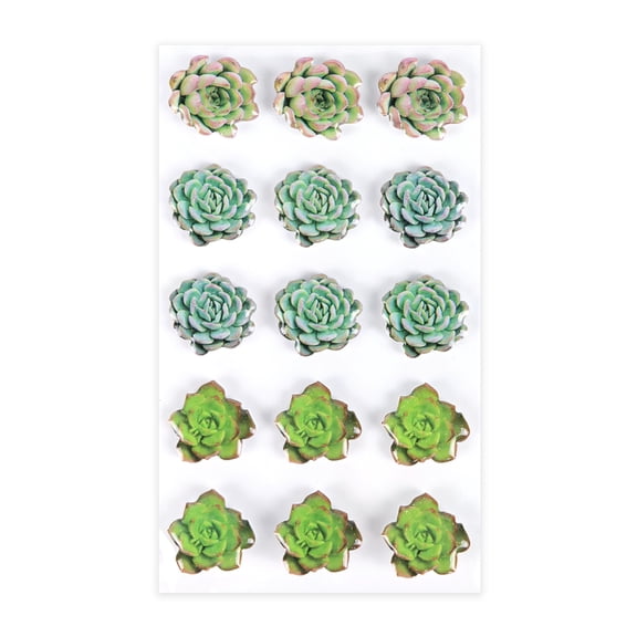 12 Packs: 15 ct. (180 total) Succulent Stickers by Recollections