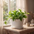 thumbnail image 4 of Wave Edges Plastic Plants Pots with Drainage Holes & Matching Saucers,Lightweight Indoor Outdoor Decorative Flower Planters Garden Decor, 4 of 7