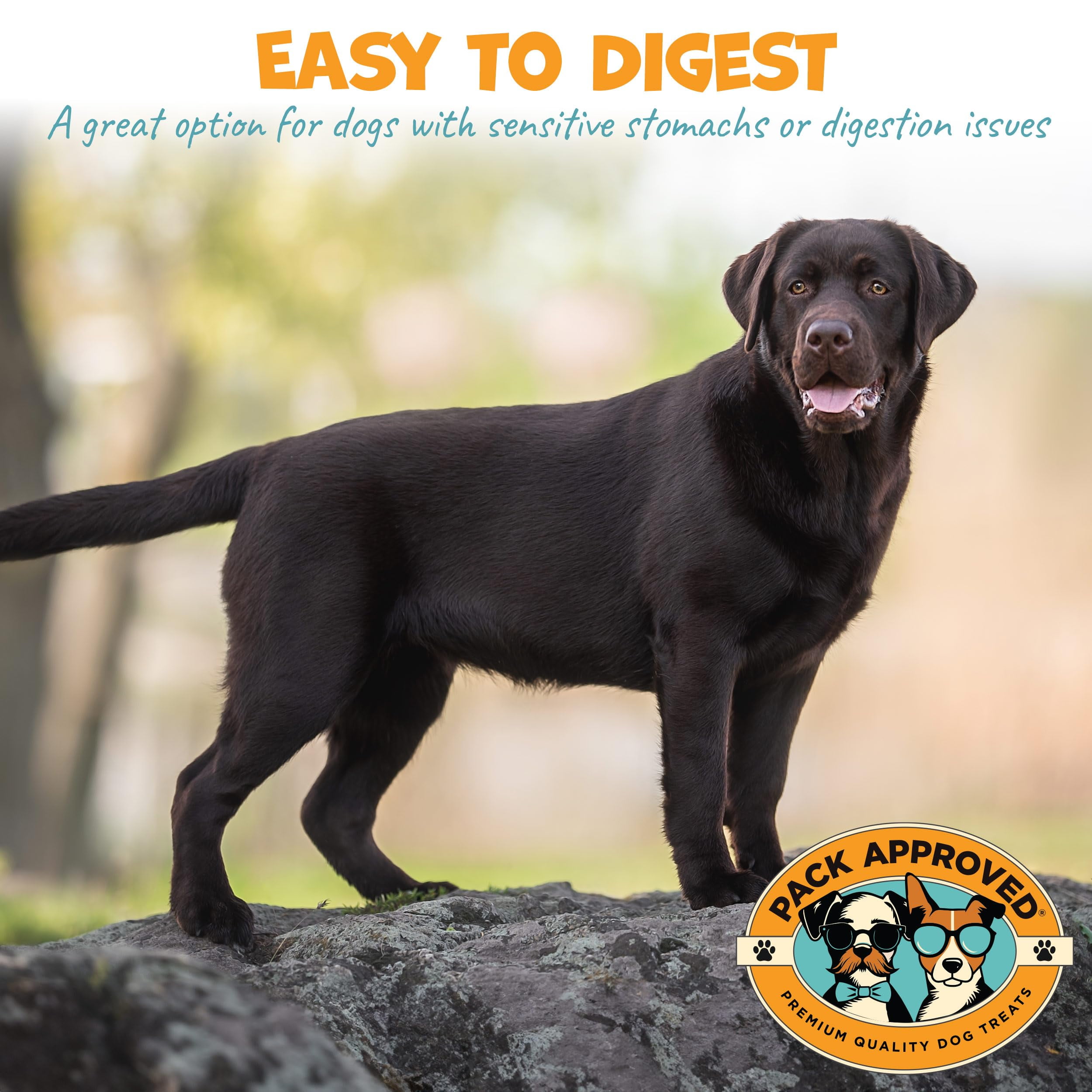 Pack Approved Lamb Tripe - Single Ingredient & Dehydrated Dog Treats - Lamb Treats for Sensitive Stomach - No Hide Dog Chews Tripe - 10oz