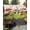 Beige, variant on Mushrooms Eucalyptus Sun Sail Shades Rectangle Canopy,Sunlight Block Heavy Duty Curved Backyard Shade Cover,Sage Green Botanical Butterflies Waterproof Sun Shades for Patios Garden Pergola 12'x16'