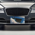 thumbnail image 3 of B-2 Spirit Stealth Bomber Airplane In Flight Illustration Metal Novelty License Plate, 3 of 7