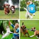 thumbnail image 4 of Puppy Chew Toy Teething Training, 10 Piece Dog Leash Toys 100% Natural Cotton Leash for Small to Med, 4 of 4
